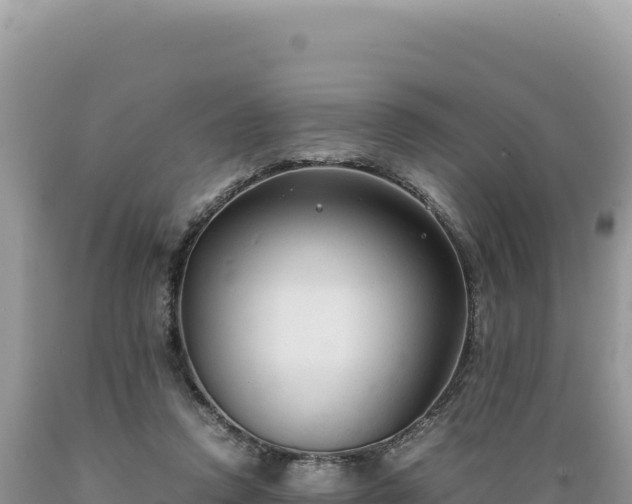 X0000089360354200706221205