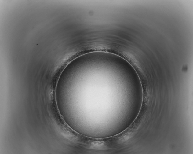 X0000089360355200706221205