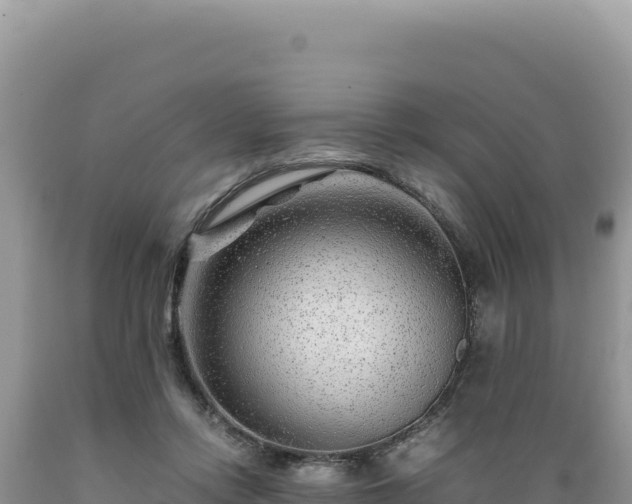 X0000089360358200706221205