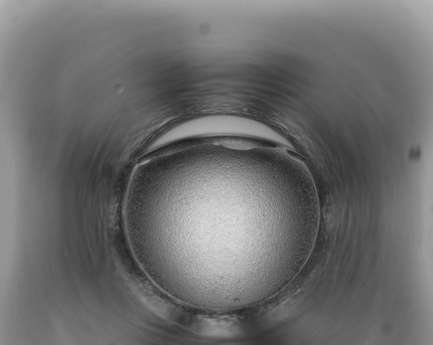 X0000089360359200706221205