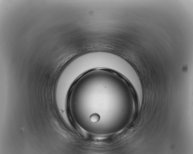 X0000089360360200706221205