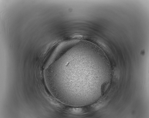 X0000089360361200706221205
