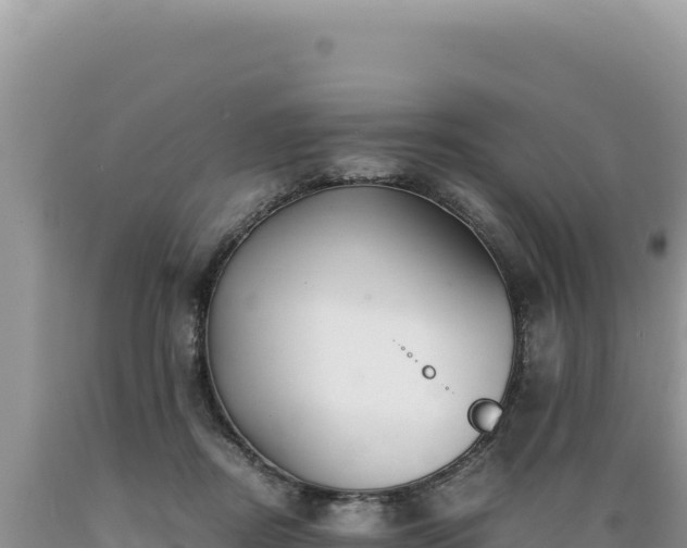 X0000089360362200706221205