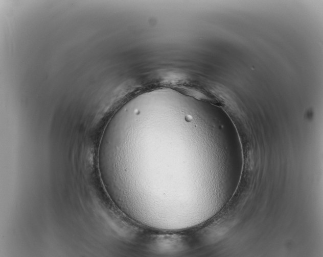 X0000089360363200706221205