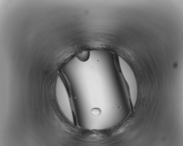 X0000089360364200706221205