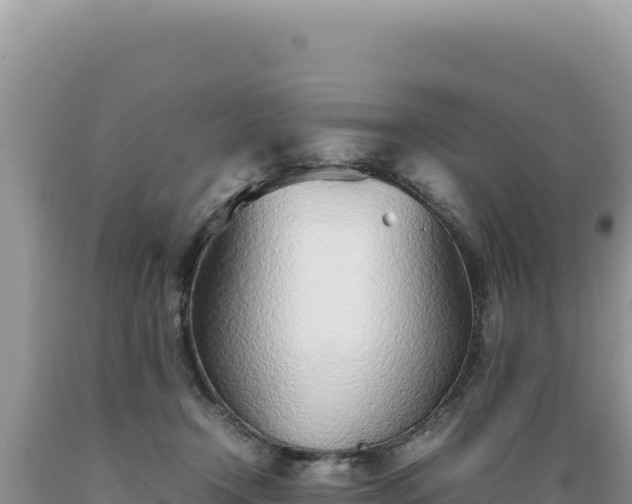 X0000089360366200706221205