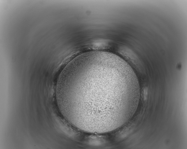 X0000089360367200706221205