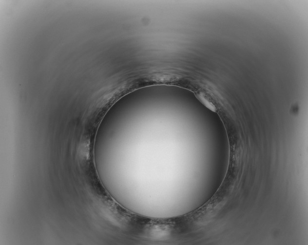 X0000089360368200706221205