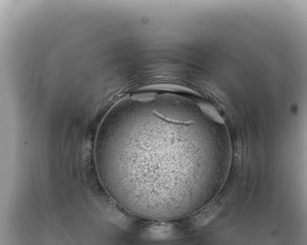 X0000089360369200706221205