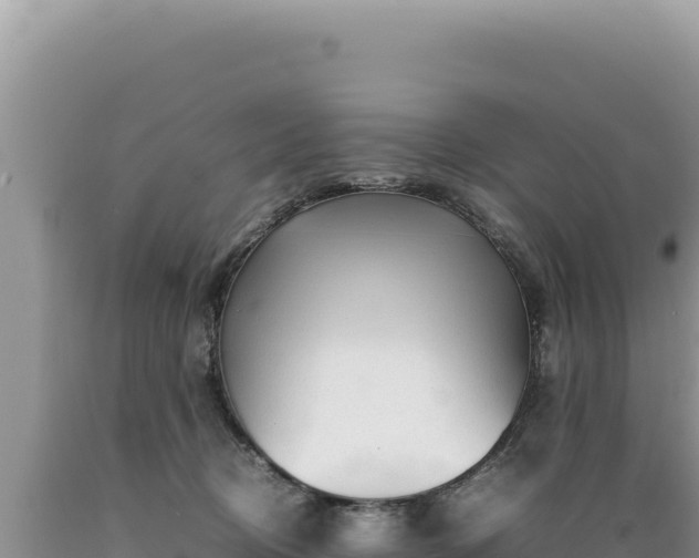 X0000089360370200706221205