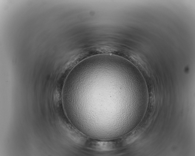 X0000089360371200706221205