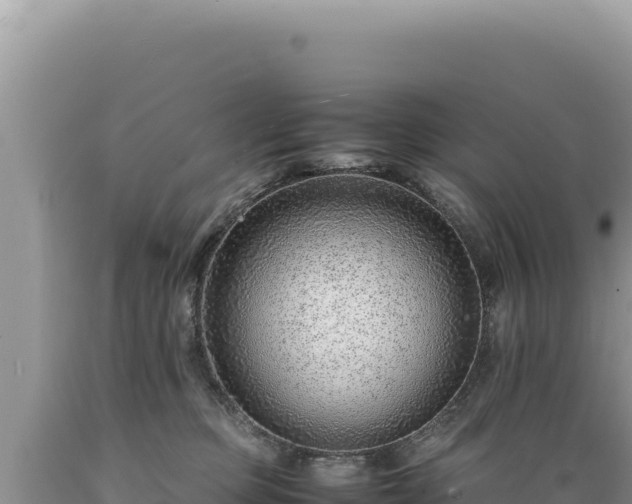 X0000089360373200706221205
