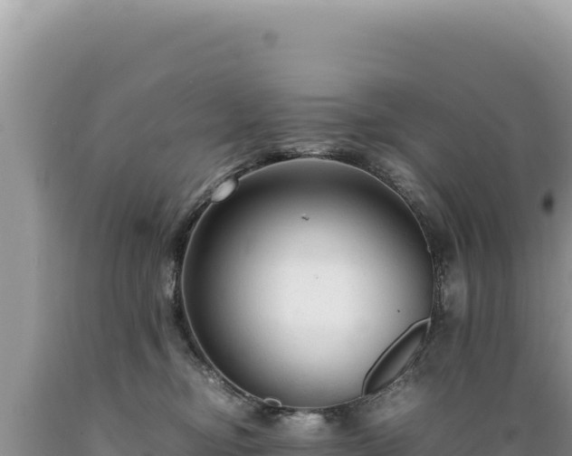 X0000089360374200706221205