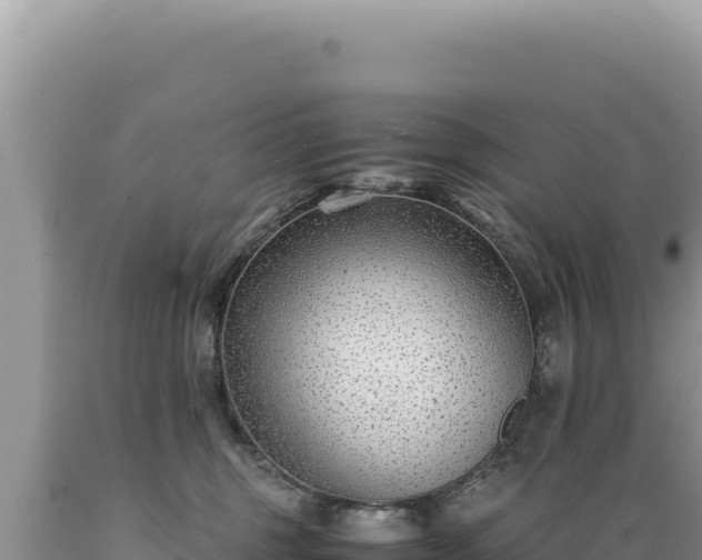 X0000089360375200706221205