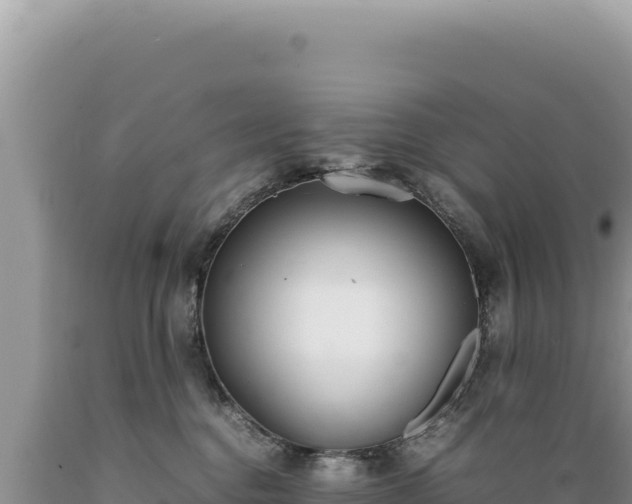 X0000089360376200706221205
