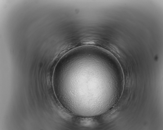 X0000089360377200706221205