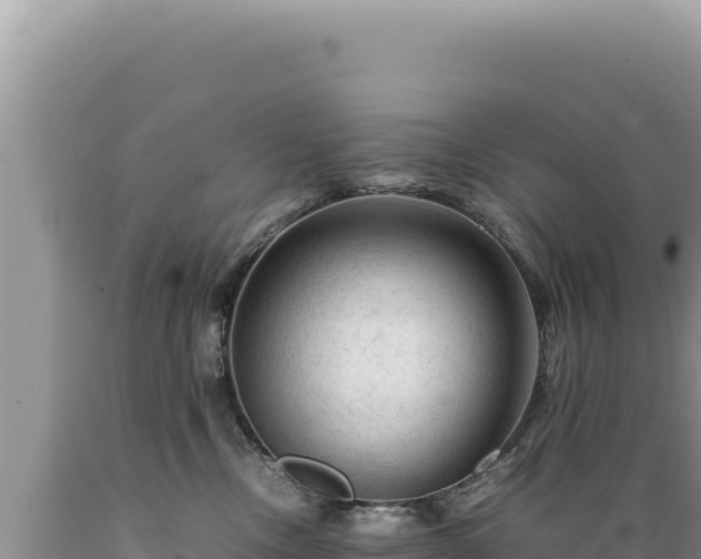 X0000089360378200706221205