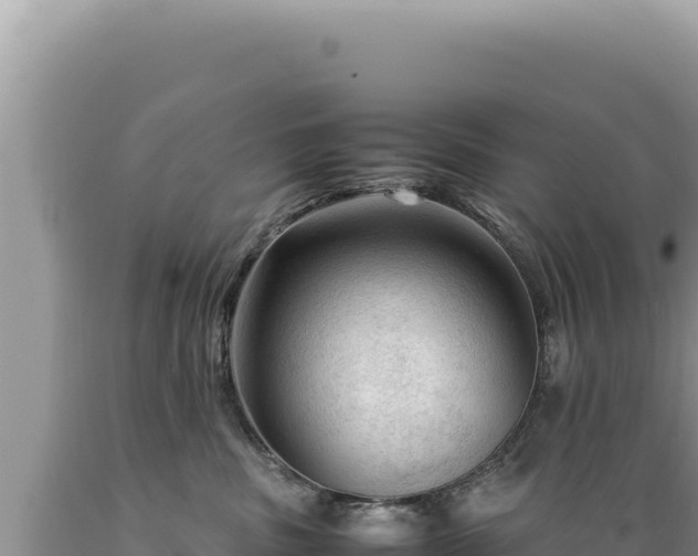 X0000089360379200706221205