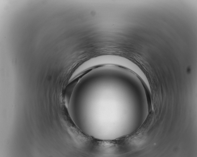 X0000089360380200706221205