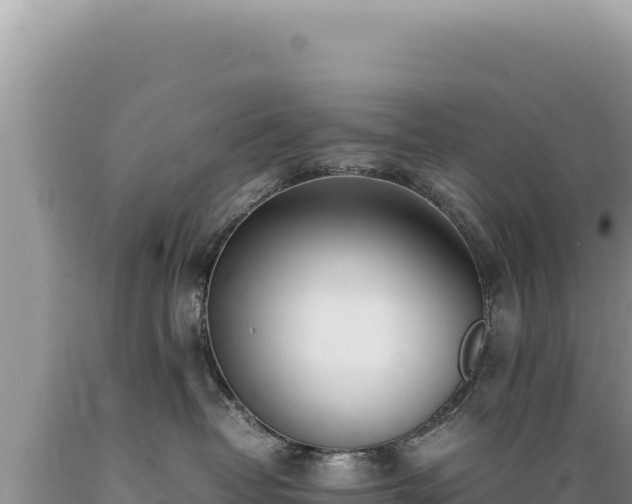 X0000089360382200706221205