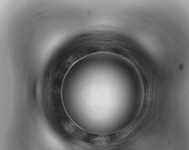 X0000089360383200706221205