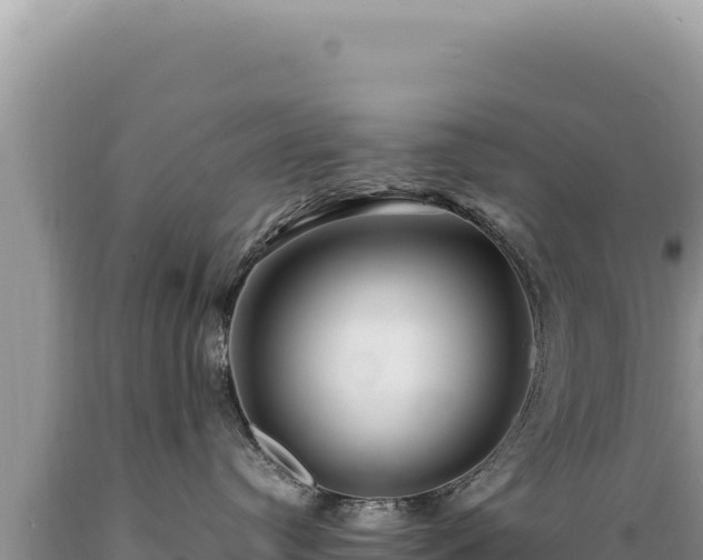X0000089360384200706221205