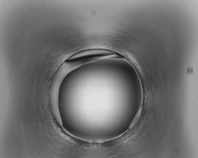 X0000089360385200706221205