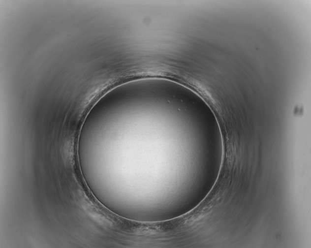 X0000089360386200706221205