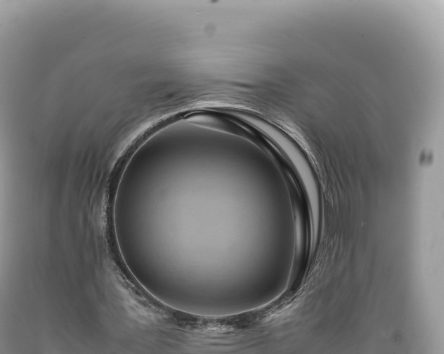 X0000089360387200706221205