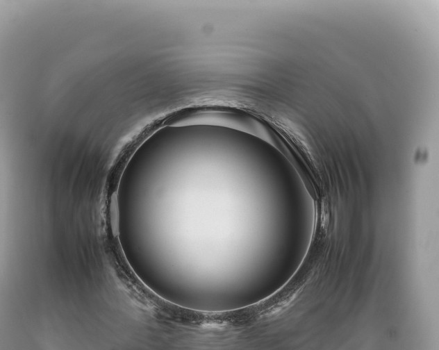 X0000089360388200706221205