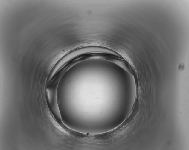 X0000089360389200706221205