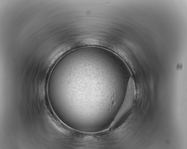 X0000089360390200706221205