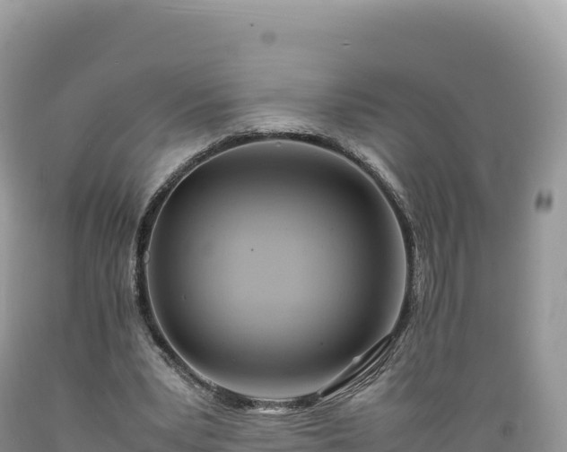 X0000089360391200706221205