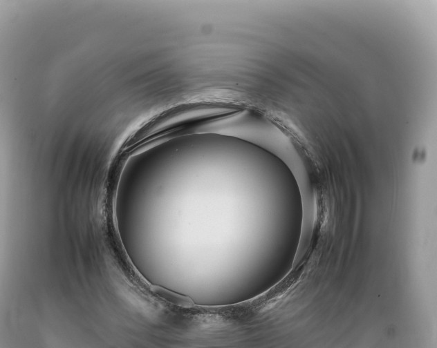 X0000089360392200706221205