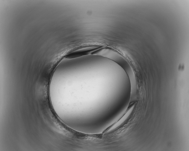 X0000089360393200706221205