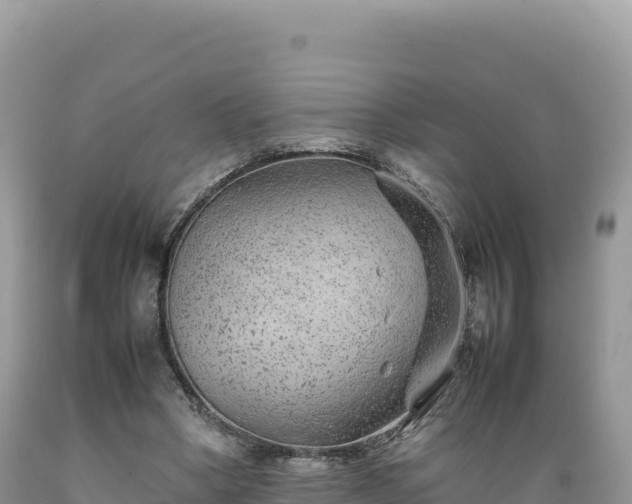 X0000089360394200706221205