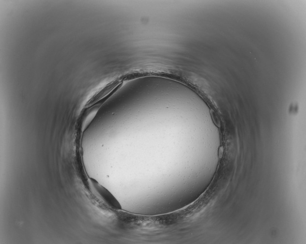 X0000089360395200706221205