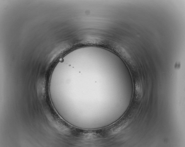 X0000089360396200706221204