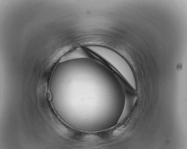 X0000089360397200706221204