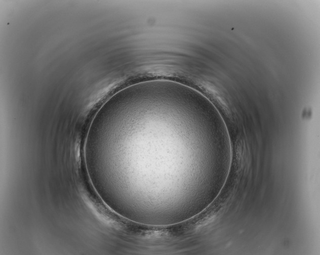X0000089360398200706221204