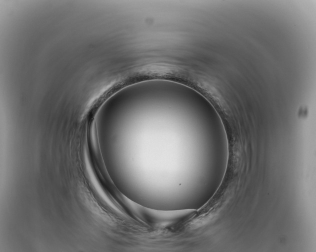 X0000089360399200706221204