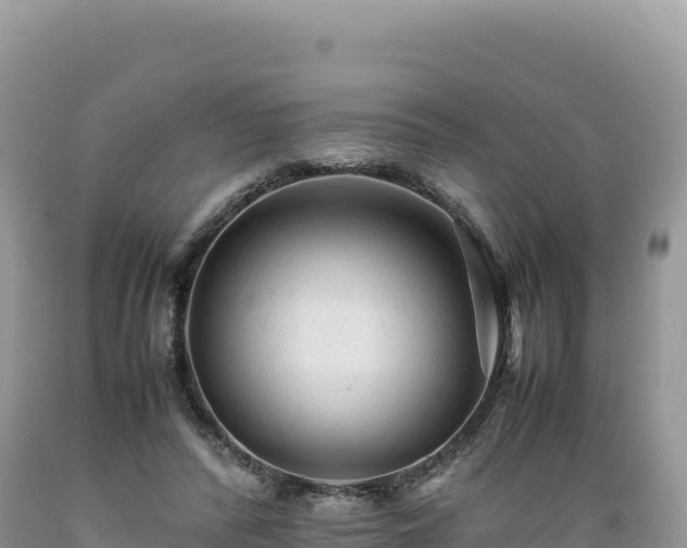 X0000089360400200706221204