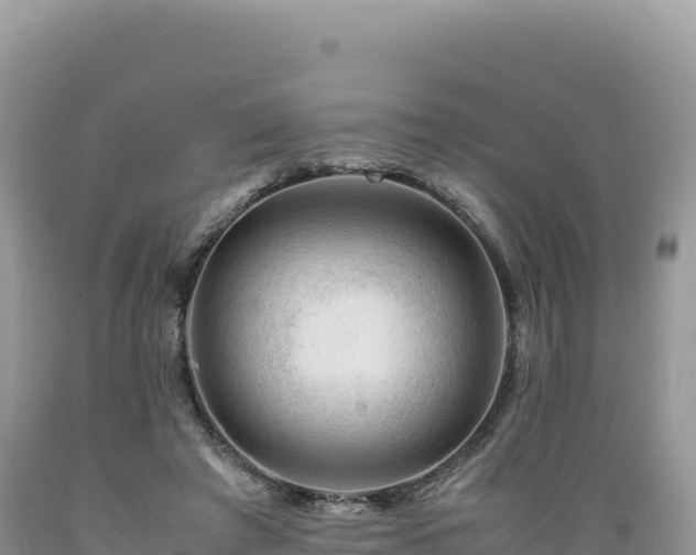 X0000089360401200706221204