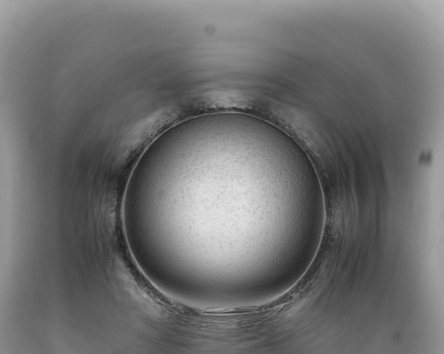 X0000089360402200706221204