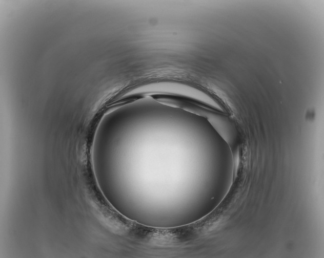 X0000089360403200706221204