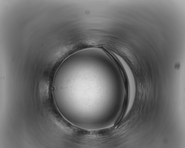 X0000089360404200706221204