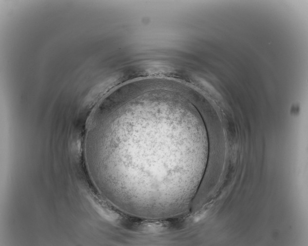 X0000089360405200706221204