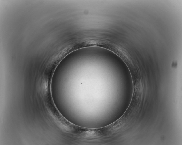 X0000089360406200706221204