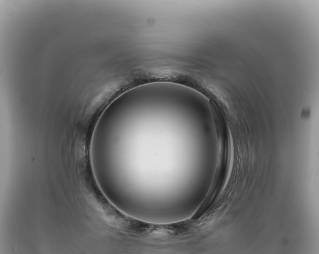 X0000089360407200706221204