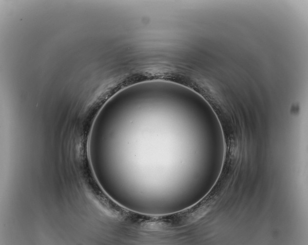 X0000089360408200706221204